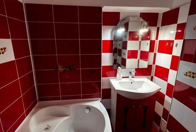 Apartament cu 2 camere decomandat, mobilat în Trocadero - 11