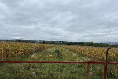 Teren de 2000 mp, în Hotar - 4