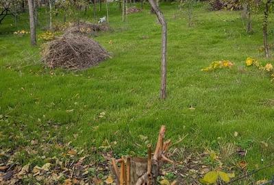 Casă cu 8 camere cu Teren 8888 Mp în Central - 1