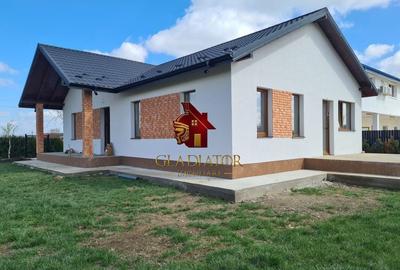 Casa plan parter deosebita, Lunca Cetatuii Ciurea, la asfalt, zona vis - 9