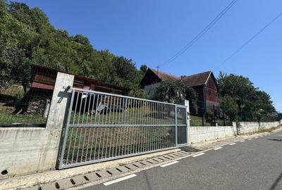 De vanzare Casa cu teren 3500MP in Sabisa/Maramures - 12