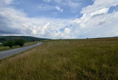 Teren agricol extravilan de 4200 mp, în Ciurila - 6