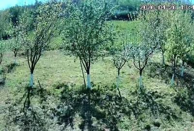 Casă cu Teren 2440 Mp în Peștera - 7