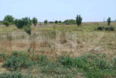 Teren de 500 mp, în Brestei - 3