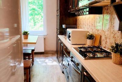 Apartament cu 4 camere, mobilat în 22 Decembrie 1989 - 9