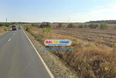 Teren 14000 mp la Dj Moara Vlasiei Gradistea latura Padure - 2