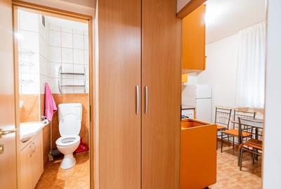 Apartament cu 2 camere decomandat, mobilat în Centura - 4