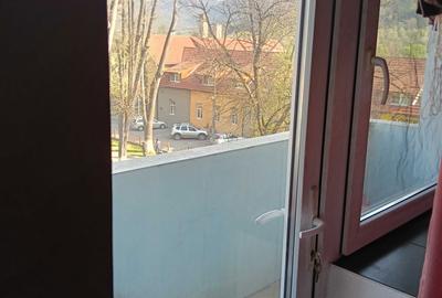 Apartament cu 2 camere decomandat în Bozovici - 7
