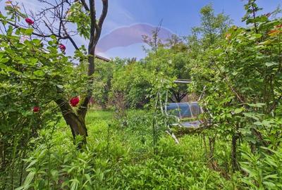 Casă individuală cu 2 camere cu Teren 4000 Mp în Butimanu - 24