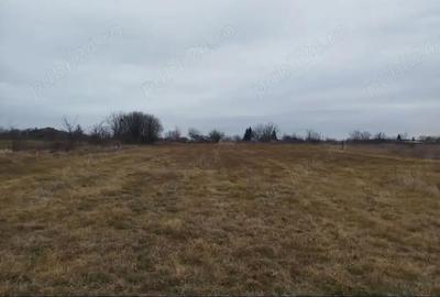 Teren de 2000 mp, în Grădiștea - 4