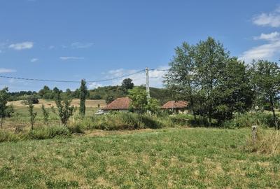 Berinta, 55 ari teren - 3