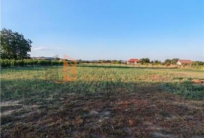 EXCLUSIVITATE! Teren intravilan pretabil pentru constructii in Merei, Buzau - 1