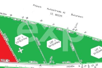 Teren agricol extravilan de 154047 mp, în Căteasca - 2
