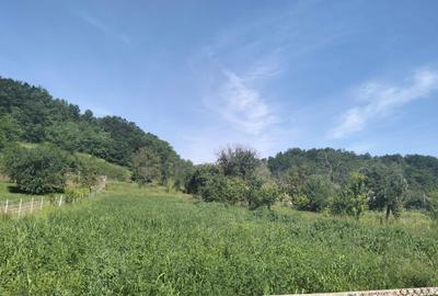 Casă cu 3 camere în Stejar - 2
