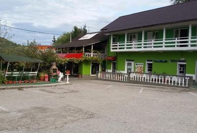 Vand pensiune si hotel la DN7/E81 Pitesti- Rm Valcea, teren 4 ha, 25euro/mp - 6