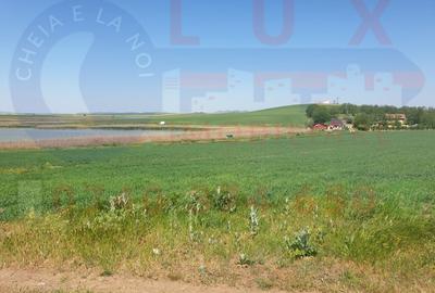 ID 7776 Teren cu potential turistic in Comuna Murighiol - 6