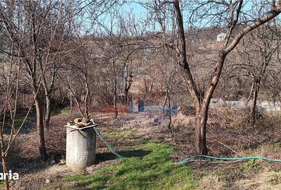 Teren de 3000 mp, în Bârnova - 13