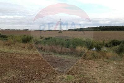 De Vanzare Teren Intravilan Balotesti / Saftica - 3