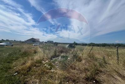 Teren Construcții intravilan de 923 mp, în Golești - 3