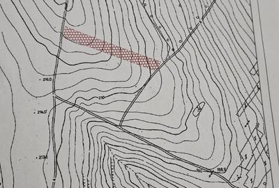 Teren de 800 mp, în Moara Grecilor - 4