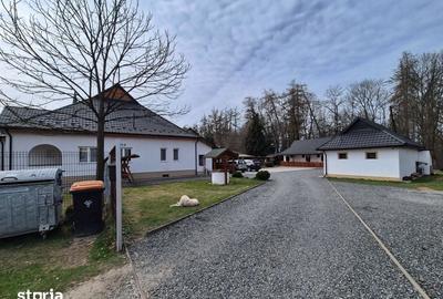 Casă cu 9 camere cu Teren 3500 Mp în Ocna Șugatag - 14