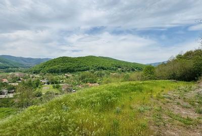 Spațiu comercial, în Ampoița - 5