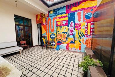 Spatiu pentru birou 4 camere  | Modern | Ultracentral | Cipariu - 13