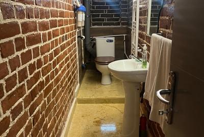 Parcul Carol, Str. Deceneu nr. 8, casa smart spatioasa Parcul Carol, Str. Deceneu nr. 8, casa smart spatioasa - 12