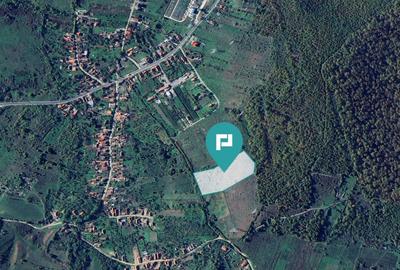 Teren fâneață lângă pădure - Hunedoara - 2