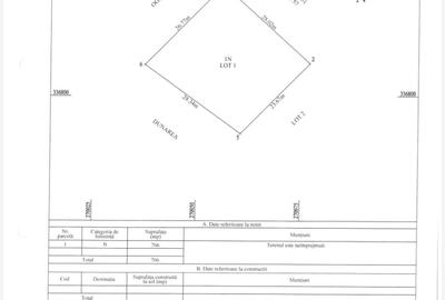 Teren de 706 mp, în Svinița - 6