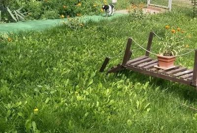 Casă cu 3 camere în Gorneni - 5