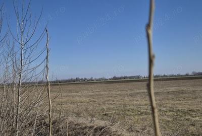 Teren de 36800 mp, în Scutelnici - 5