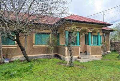 Casă individuală cu 5 camere cu Teren 3400 Mp în Central - 4