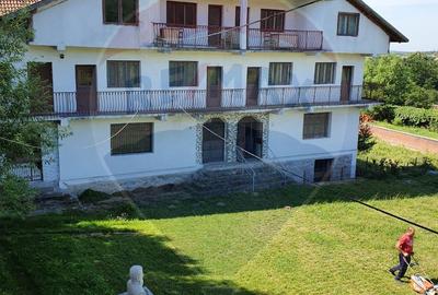 Spațiu comercial, de 1,650 mp, în Baia de Fier - 5