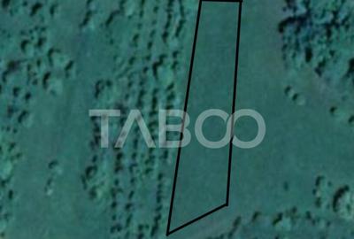 Teren pretabil cabana sau gradina 1670 mp zona deosebita Sib - 2