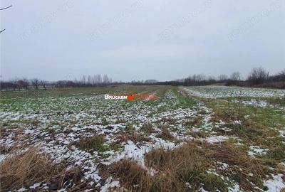 Casă cu Teren 9504 Mp în Poclușa de Barcău - 12