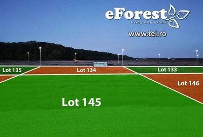 Teren premium, intre doua paduri, acces asfaltat din DN1A, vizitati eForest! - 4