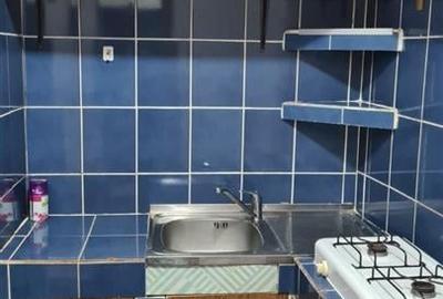 Garsoniera Spatioasa zona Blascovici - 13