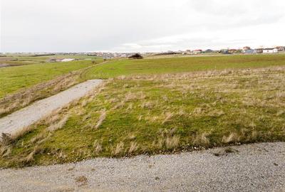 Teren intravilan de 500 mp, în Sânmartin - 3