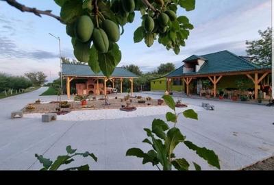 Teren agricol extravilan de 70000 mp, în 3 Insule - 5