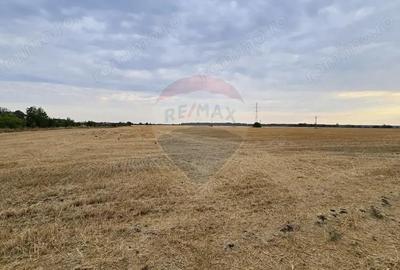 Teren intravilan Buftea, soseaua Tamasi - 2