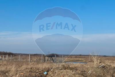 Teren agricol intravilan de 1632 mp, în Cihei - 6