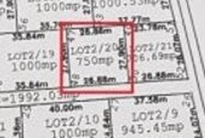 Teren Domnesti Ciutaci - Foisorului Ilfov - 750mp - 5