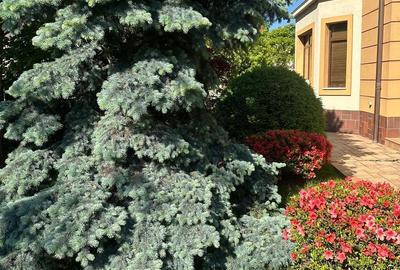 Casă cu 5 camere cu Teren 619 Mp în Mărășești - 3