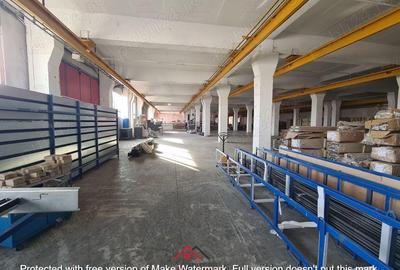 Hale noi in Baicoi, Ph--13.000mp--3e - 1