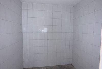 Spațiu comercial, de 340 mp, în Coman - 3