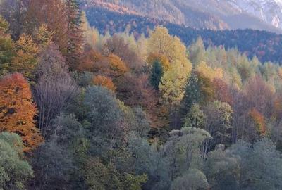 Spațiu comercial, în Plaiul Foii - 9