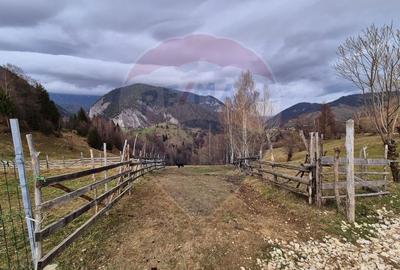 Comision 0 %/ Teren extravilan 13,570mp Pestera / Priveliste Manastire - 2