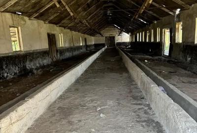 Ferma de vanzare Mara?e?ti - 2