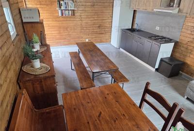 VILA SUPERBA AFACERE LA CHEIE COSTINESTI - 10